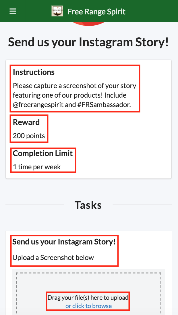 BrandChamp ambassador software activities Instagram stories instructions rewards tasks