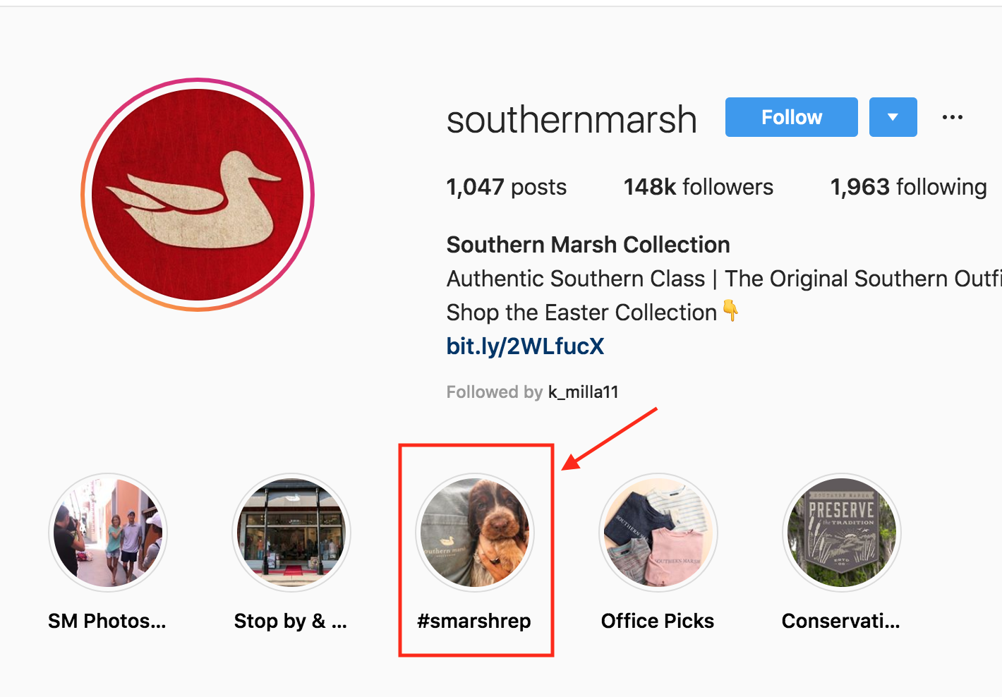 Southern Marsh Instagram Account