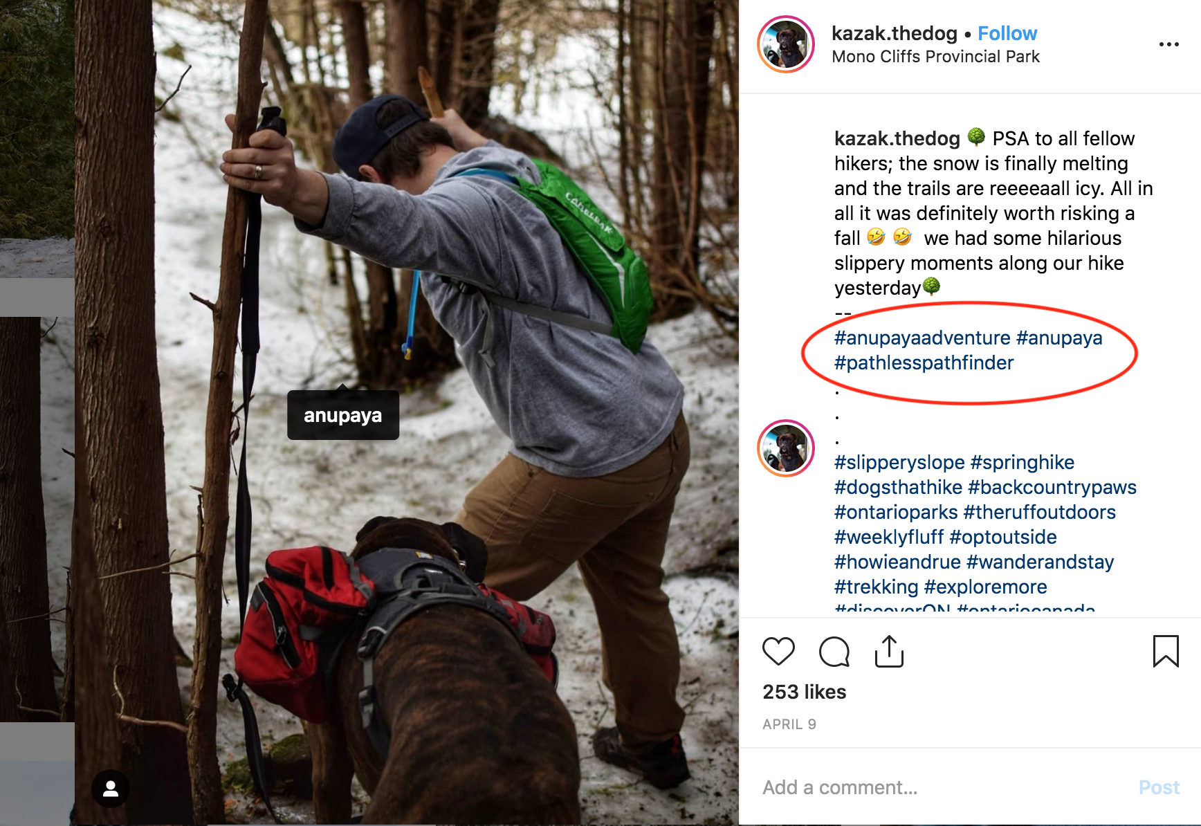 Anupaya ambassador pathfinder instagram post hiking backpack dog with backpack trees