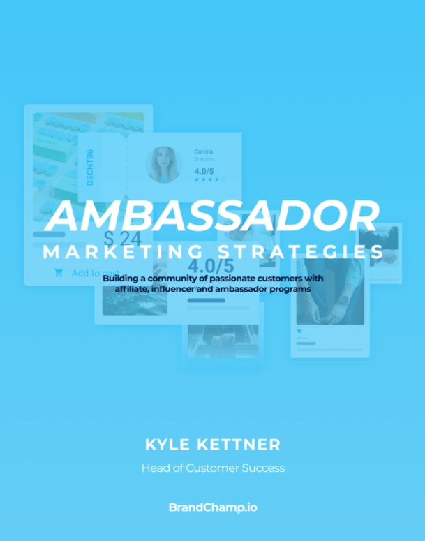 eBook Cover for Ambassador Marketing Strategies