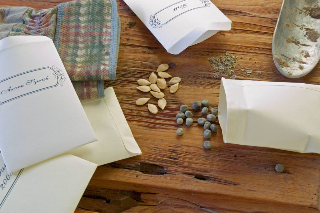 Seeds and paper seed packets