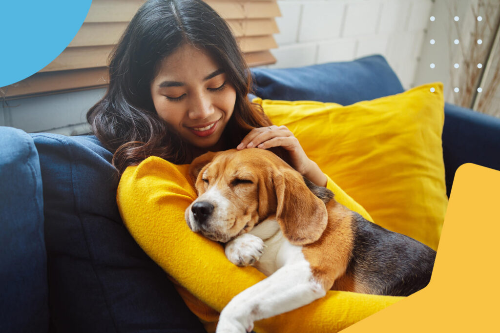Woman hugging sleeping beagle dog
