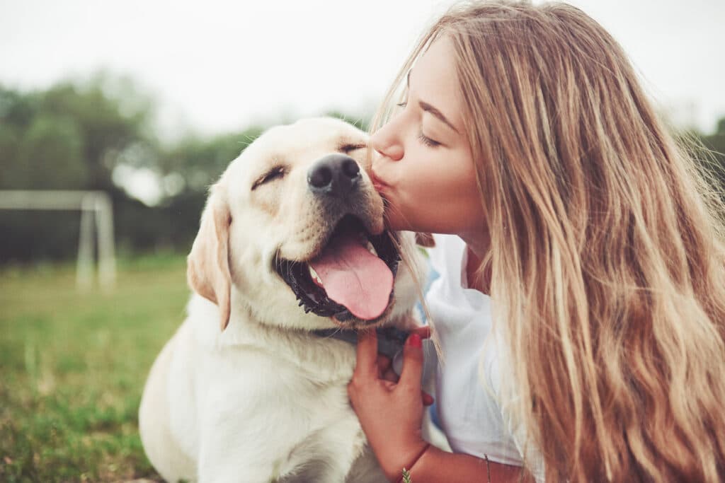 Labrador playing with its owner