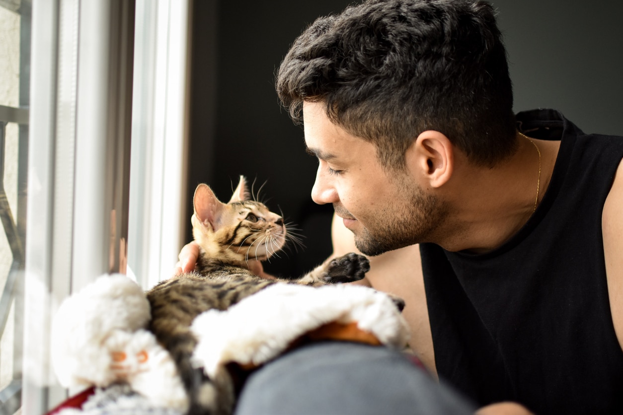 Owner petting his cat