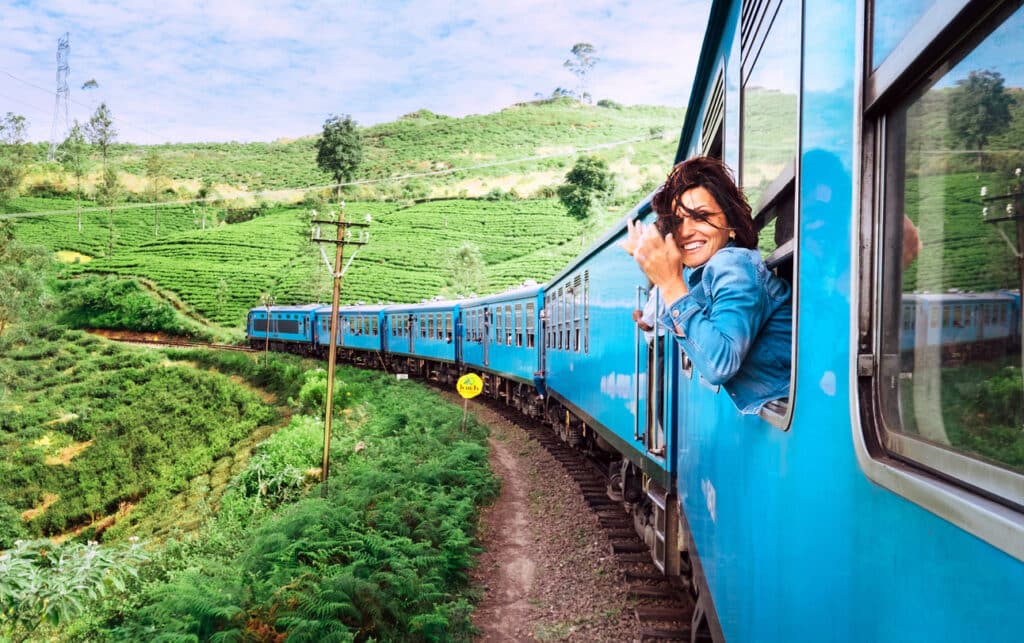 Train in the fields