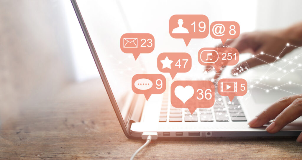 ambassador program launch success signs, social media following and brand recognition